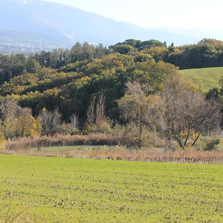 Agriturismo La Ginestrella Civitella D'Arna Extérieur photo