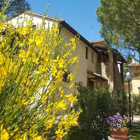 Agriturismo La Ginestrella Civitella D'Arna Extérieur photo